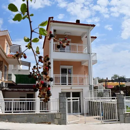 Ibis Thassos